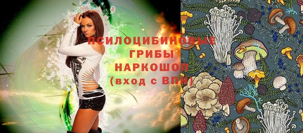 прущие крисы Пересвет