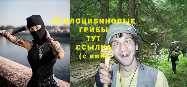 Альфа ПВП Покачи