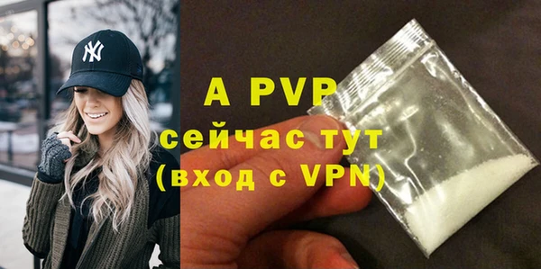 прущие крисы Пересвет