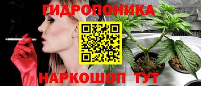 эйфоретик Абакан