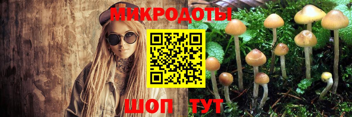 Алексин  наркота  Вход с VPN  Галлюциногенные грибы мицелий  Псилоцибиновые грибы Cubensis 